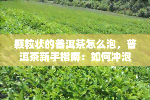 颗粒状的普洱茶怎么泡，普洱茶新手指南：如何冲泡颗粒状普洱茶？