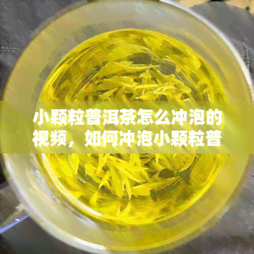 小颗粒普洱茶怎么冲泡的视频，如何冲泡小颗粒普洱茶？看这里！