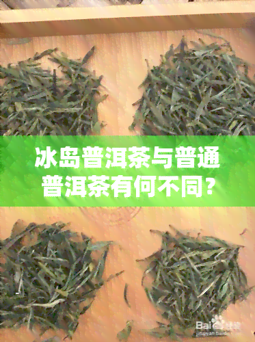 冰岛普洱茶与普通普洱茶有何不同？详解其含义、功效、特点及产地