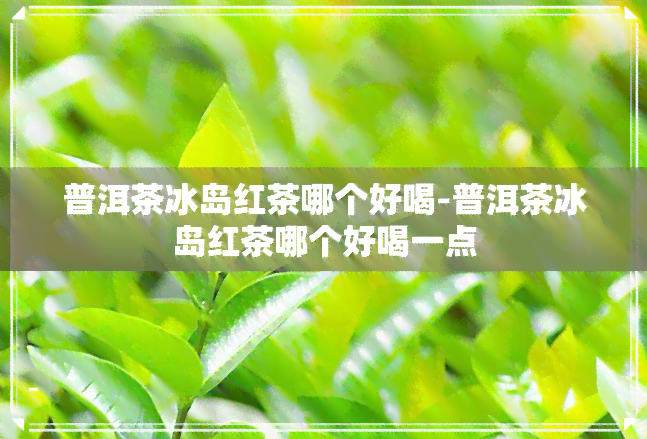 普洱茶冰岛红茶哪个好喝-普洱茶冰岛红茶哪个好喝一点