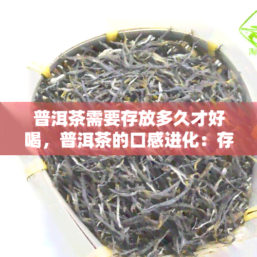 普洱茶需要存放多久才好喝，普洱茶的口感进化：存放时间对味道的影响