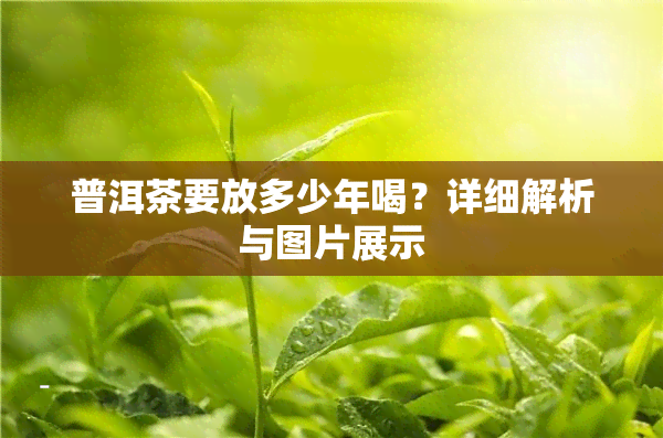 普洱茶要放多少年喝？详细解析与图片展示