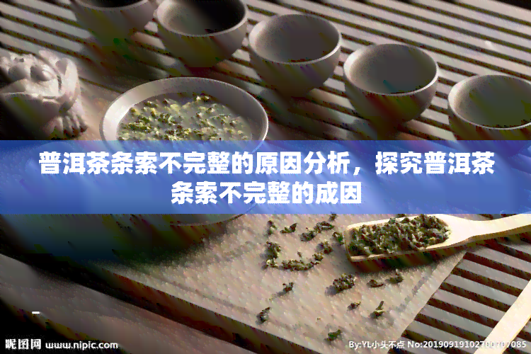 普洱茶条索不完整的原因分析，探究普洱茶条索不完整的成因