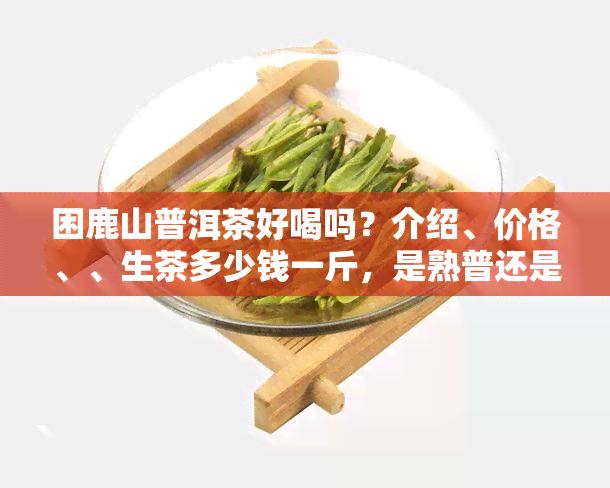 困鹿山普洱茶好喝吗？介绍、价格、、生茶多少钱一斤，是熟普还是生普？