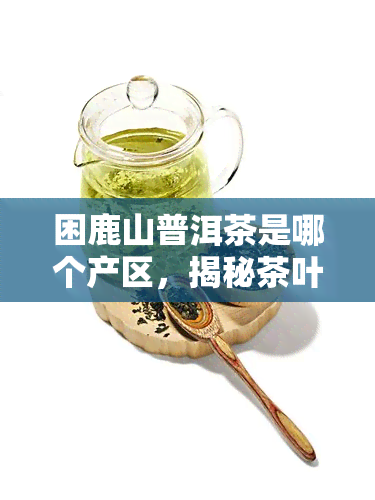 困鹿山普洱茶是哪个产区，揭秘茶叶产地：困鹿山普洱茶来自哪里？