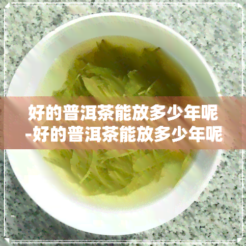 好的普洱茶能放多少年呢-好的普洱茶能放多少年呢图片