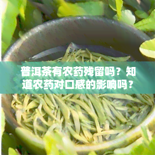 普洱茶有农残留吗？知道农对口感的影响吗？