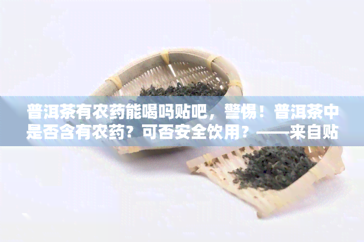 普洱茶有农能喝吗贴吧，警惕！普洱茶中是否含有农？可否安全饮用？——来自贴吧的讨论