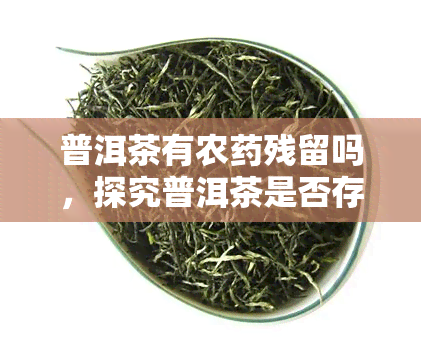 普洱茶有农残留吗，探究普洱茶是否存在农残留问题