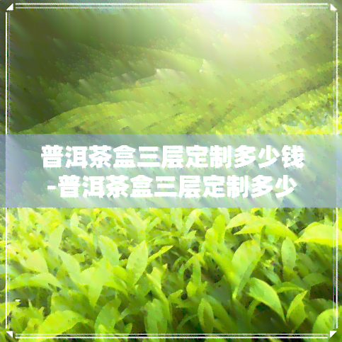 普洱茶盒三层定制多少钱-普洱茶盒三层定制多少钱一个