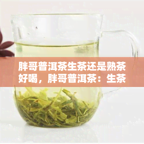 胖哥普洱茶生茶还是熟茶好喝，胖哥普洱茶：生茶与熟茶的口感对比，哪一种更好喝？