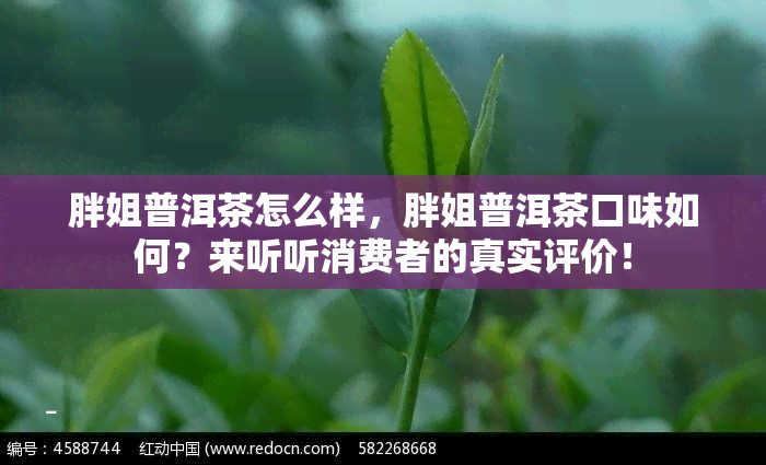 胖姐普洱茶怎么样，胖姐普洱茶口味如何？来听听消费者的真实评价！