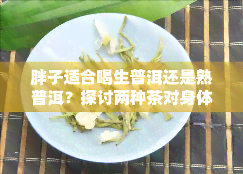 胖子适合喝生普洱还是熟普洱？探讨两种茶对身体的影响