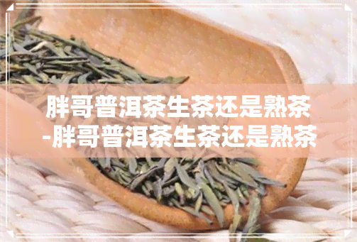 胖哥普洱茶生茶还是熟茶-胖哥普洱茶生茶还是熟茶好喝