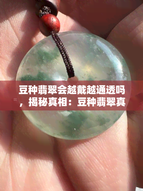 豆种翡翠会越戴越通透吗，揭秘真相：豆种翡翠真的会越戴越通透吗？