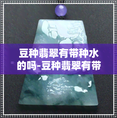 豆种翡翠有带种水的吗-豆种翡翠有带种水的吗图片