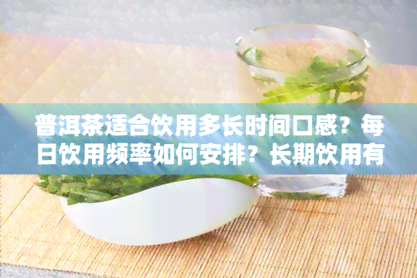 普洱茶适合饮用多长时间口感？每日饮用频率如何安排？长期饮用有何效果？