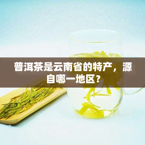 普洱茶是云南省的特产，源自哪一地区？