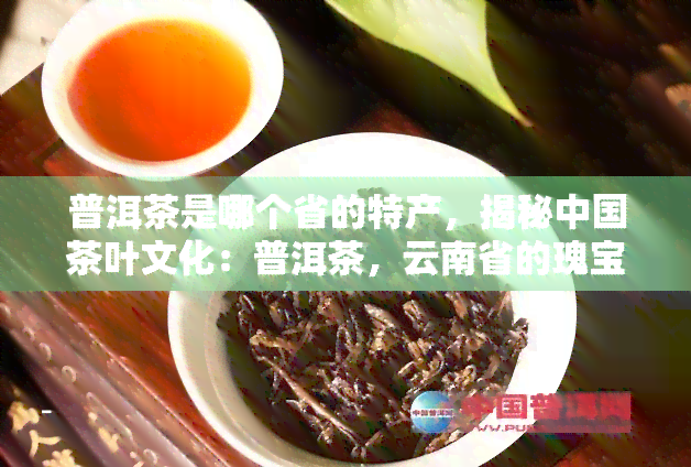 普洱茶是哪个省的特产，揭秘中国茶叶文化：普洱茶，云南省的瑰宝