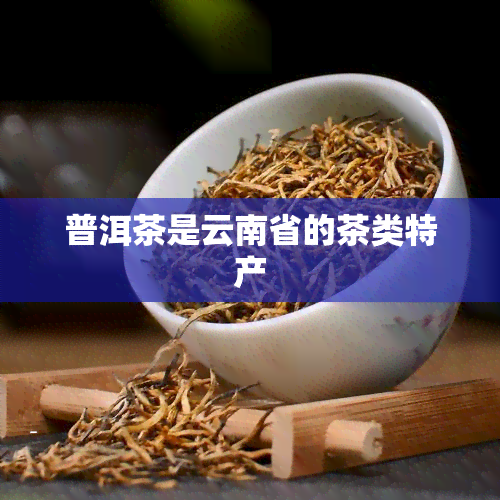 普洱茶是云南省的茶类特产