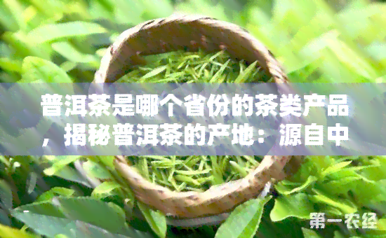 普洱茶是哪个省份的茶类产品，揭秘普洱茶的产地：源自中国哪个省份？