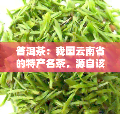 普洱茶：我国云南省的特产名茶，源自该省生产地区。