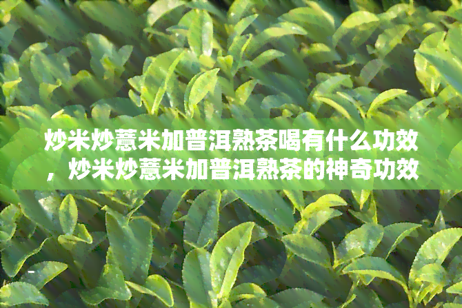 炒米炒薏米加普洱熟茶喝有什么功效，炒米炒薏米加普洱熟茶的神奇功效，你值得了解！