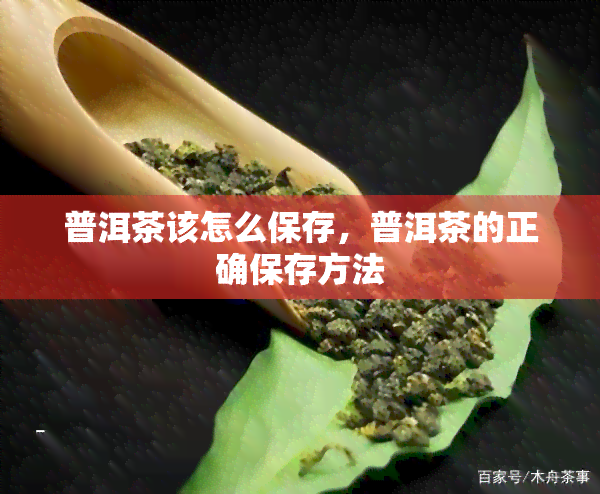 普洱茶该怎么保存，普洱茶的正确保存方法