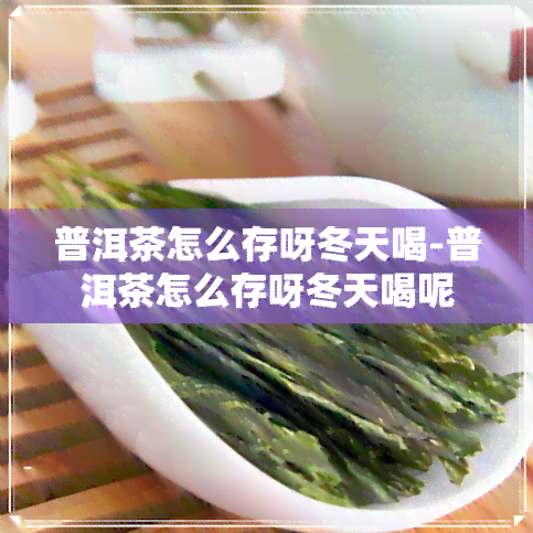 普洱茶怎么存呀冬天喝-普洱茶怎么存呀冬天喝呢