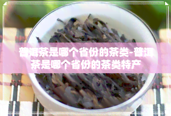 普洱茶是哪个省份的茶类-普洱茶是哪个省份的茶类特产