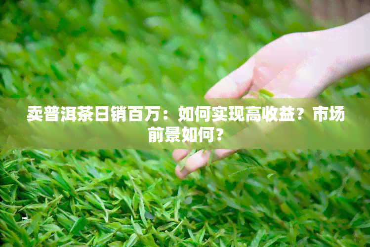 卖普洱茶日销百万：如何实现高收益？市场前景如何？