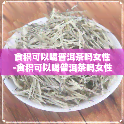 食积可以喝普洱茶吗女性-食积可以喝普洱茶吗女性