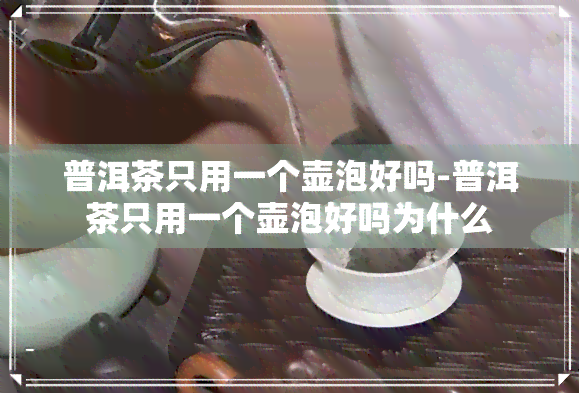 普洱茶只用一个壶泡好吗-普洱茶只用一个壶泡好吗为什么