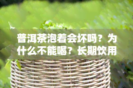 普洱茶泡着会坏吗？为什么不能喝？长期饮用的危害及处理方法