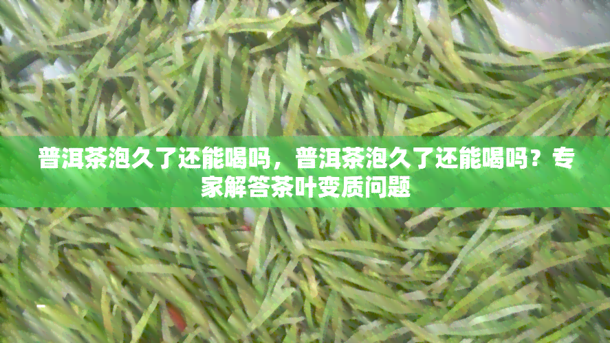 普洱茶泡久了还能喝吗，普洱茶泡久了还能喝吗？专家解答茶叶变质问题