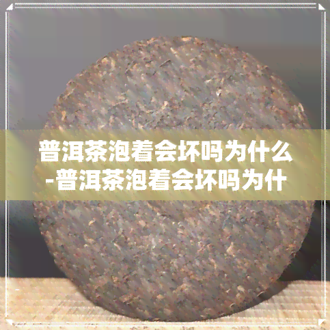 普洱茶泡着会坏吗为什么-普洱茶泡着会坏吗为什么不能喝