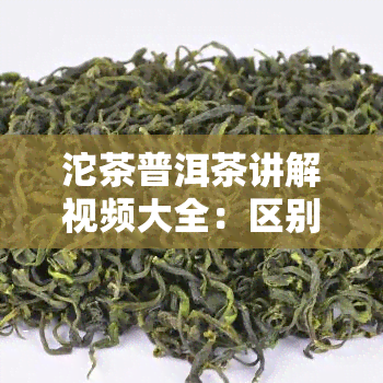 沱茶普洱茶讲解视频大全：区别、冲泡方法全解析