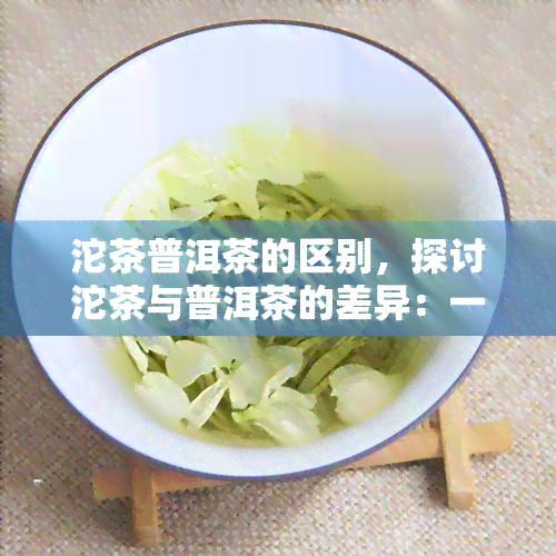 沱茶普洱茶的区别，探讨沱茶与普洱茶的差异：一场味觉与历的碰撞