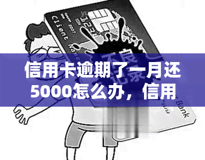 信用卡逾期了一月还5000怎么办，信用卡逾期一个月，还了5000元后该怎么做？