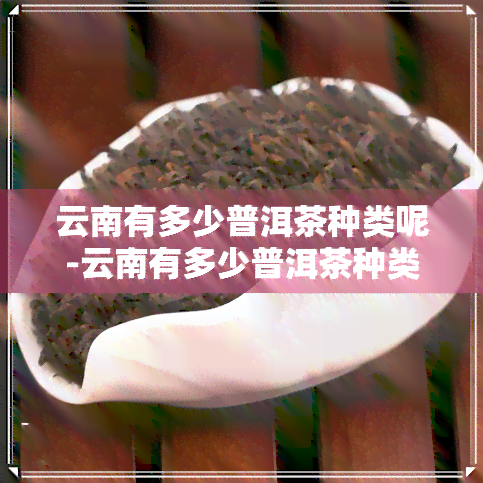 云南有多少普洱茶种类呢-云南有多少普洱茶种类呢图片