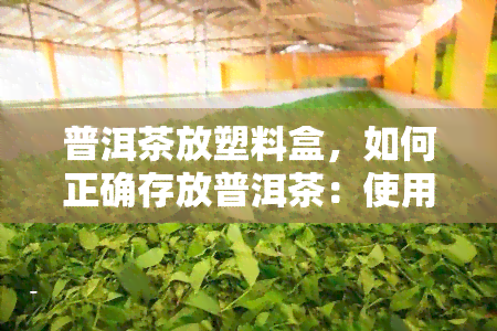 普洱茶放塑料盒，如何正确存放普洱茶：使用塑料盒的方法与技巧