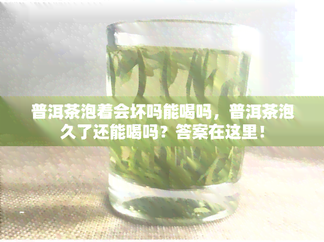 普洱茶泡着会坏吗能喝吗，普洱茶泡久了还能喝吗？答案在这里！