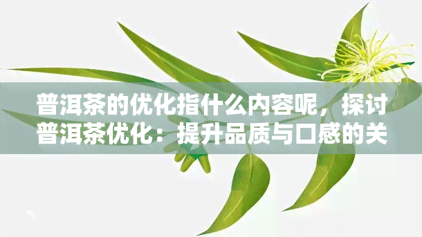 普洱茶的优化指什么内容呢，探讨普洱茶优化：提升品质与口感的关键因素