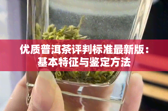 优质普洱茶评判标准最新版：基本特征与鉴定方法