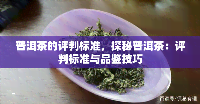 普洱茶的评判标准，探秘普洱茶：评判标准与品鉴技巧