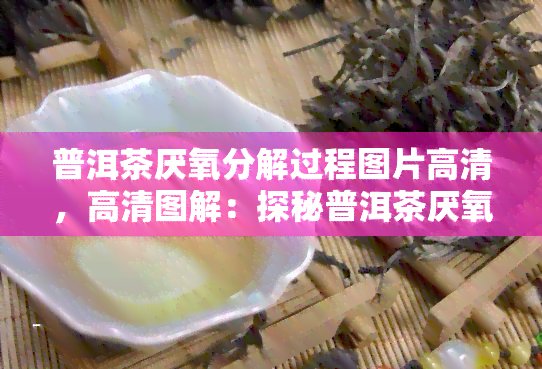 普洱茶厌氧分解过程图片高清，高清图解：探秘普洱茶厌氧分解过程