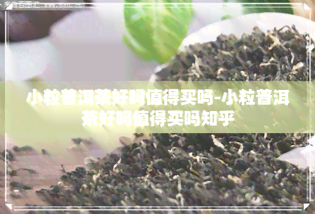 小粒普洱茶好吗值得买吗-小粒普洱茶好吗值得买吗知乎