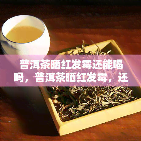 普洱茶晒红发霉还能喝吗，普洱茶晒红发霉，还能安心饮用吗？