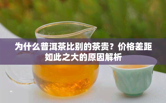 为什么普洱茶比别的茶贵？价格差距如此之大的原因解析