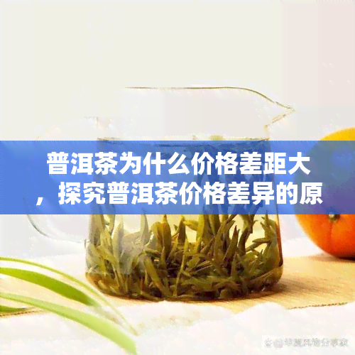 普洱茶为什么价格差距大，探究普洱茶价格差异的原因